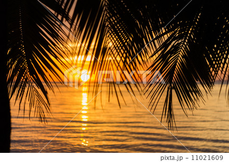 Sunset beach background 11021609