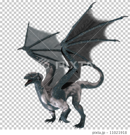 ドラゴン 11021918