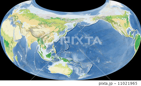 世界植生地図 11021965