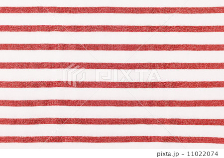 綿の生地 11022074