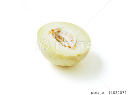 ハネデューメロン 11022075