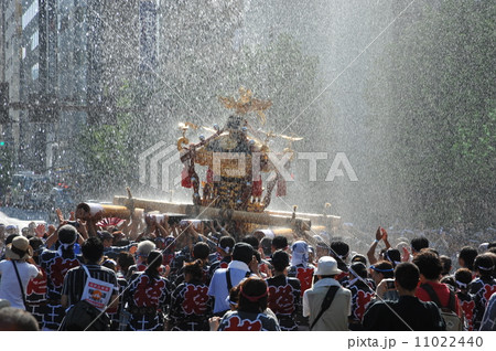 深川八幡水掛け祭り 深川八幡水掛け祭り 11022440
