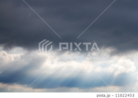 天使の梯子 11022453