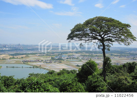 水田の眺望（神戸市西区神出東） 11022456