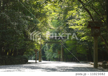 夕暮れの東京ゲートブリッジ 11023082