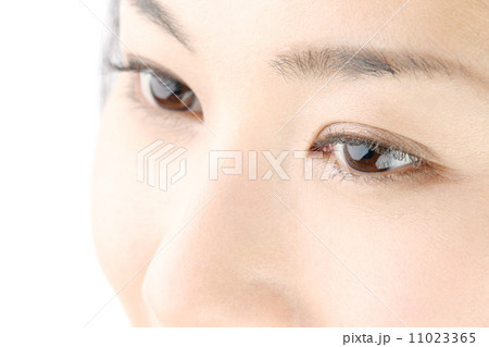 若い女性の目 11023365