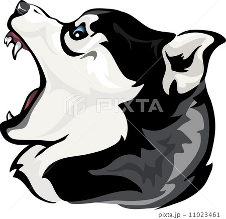Husky grin Husky grin 11023461
