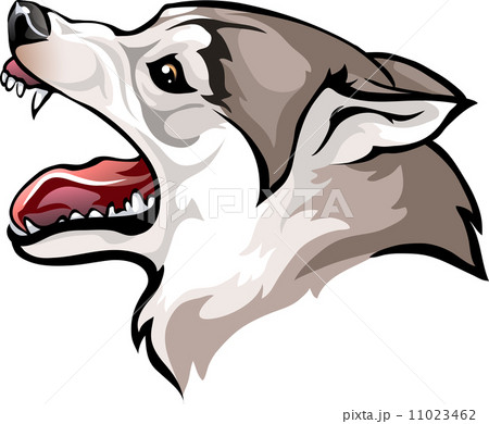 dog growls dog growls 11023462