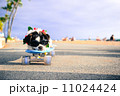 スケボー犬 11024424