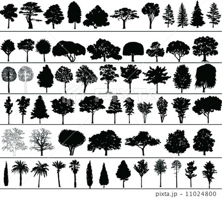 Vector Trees Vector Trees 11024800