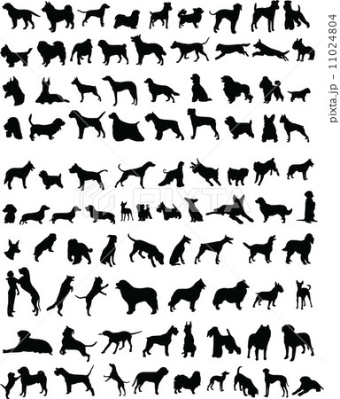 100 dogs 11024804