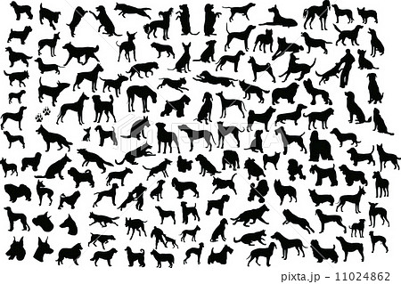 Dog silhouettes Dog silhouettes 11024862