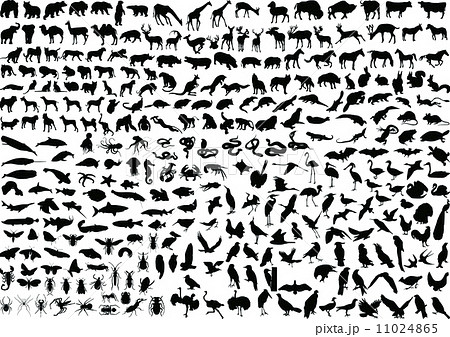 300 animal silhouettes 11024865