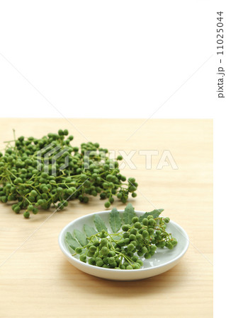 山椒の実 11025044