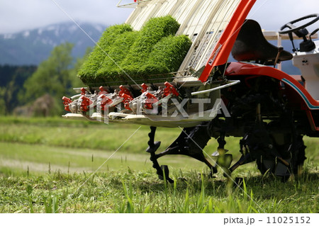 田植え機 11025152