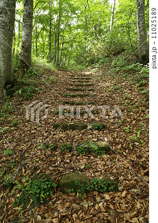 山刀伐峠 11025189