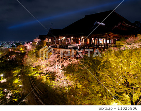 清水寺 - 夜桜と清水の舞台 11025806