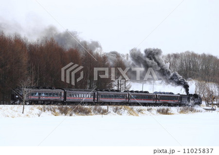 ＳＬ冬の湿原号 11025837