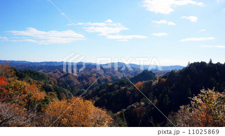 養老渓谷の紅葉 養老渓谷の紅葉 11025869