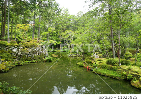 京都 西芳寺 黄金池 京都 西芳寺 黄金池 11025925