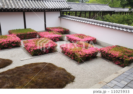 京都 東福寺 八相の庭 京都 東福寺 八相の庭 11025933
