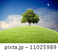 HIll,tree and blue sky 11025989