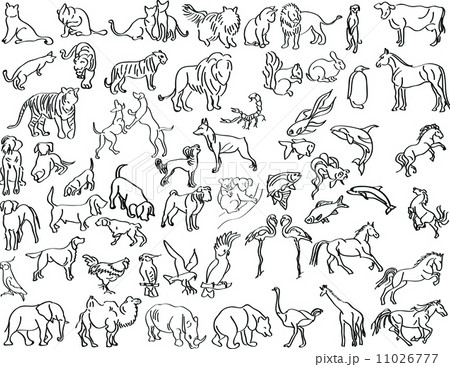 Sketches of animals 11026777