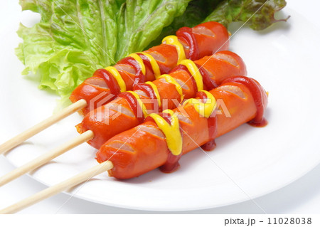 フランクフルト 11028038