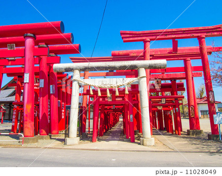 小泉稲荷神社 小泉稲荷神社 11028049