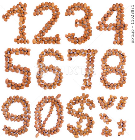 Hazelnut Numbers Hazelnut Numbers 11028821