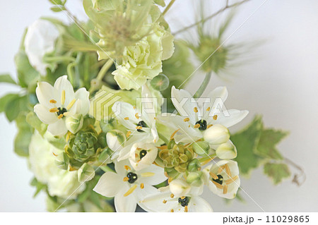 花 植物 フラワーアレンジメント 生け花 生花 お花 春 切花 花束 新緑 緑の葉 青麦 カー の写真素材