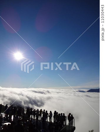 トマムの雲海 11030443