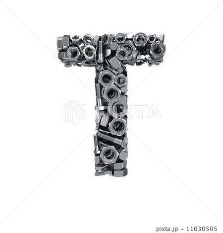 Fasteners T 11030505