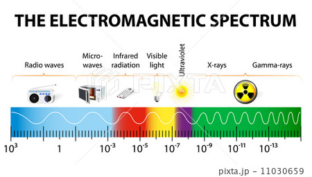 The electromagnetic spectrum vector diagram 11030659