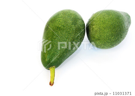 Avocado 11031371
