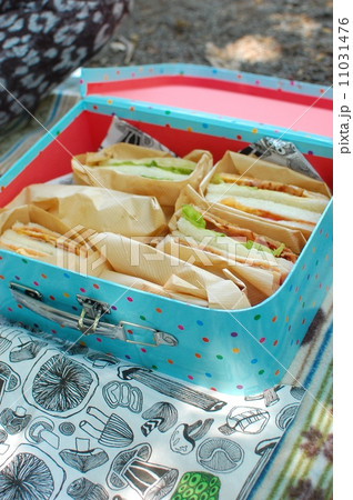 ピクニック 11031476