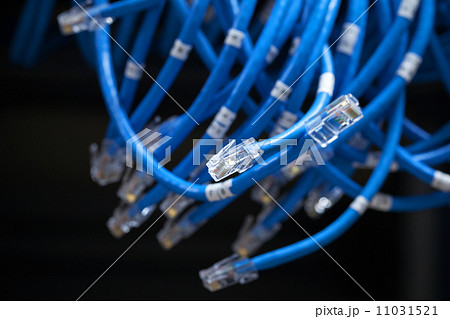 Large group of blue disconnected Internet cables 11031521