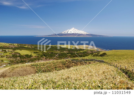 礼文島からの利尻富士　 11031549
