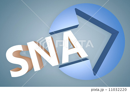 Systems Network Architecture 11032220