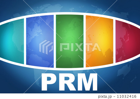 Partner Relationship Management Partner Relationship Management 11032416