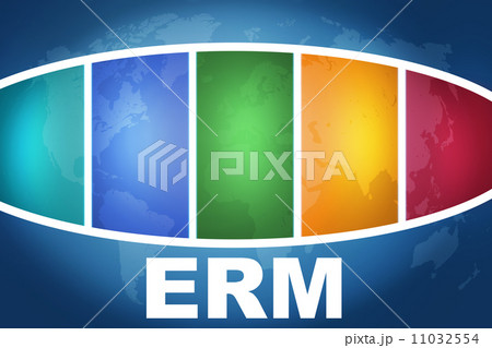 Enterprise Risk/Resource Management 11032554