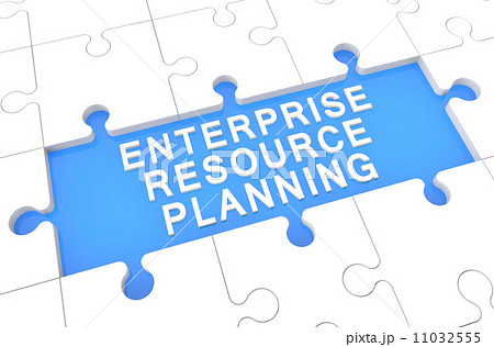 Enterprise Resource Planning 11032555
