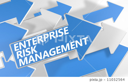 Enterprise Risk Management Enterprise Risk Management 11032564