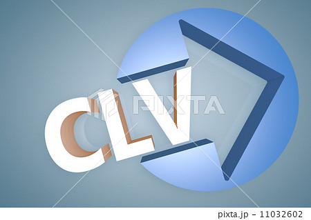 Customer Lifetime Value Customer Lifetime Value 11032602