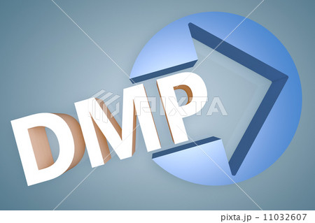 Debt Management Plan 11032607