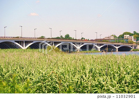 手賀大橋 11032901