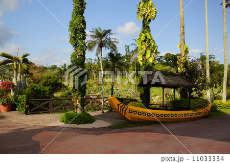 東南植物楽園 11033334