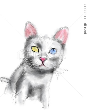 猫のイラスト 猫のイラスト 11033546