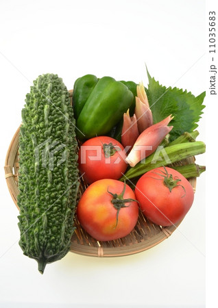 夏野菜 11035683