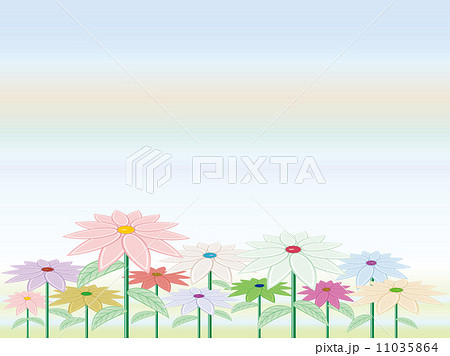 花 11035864